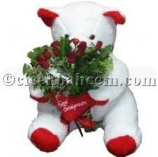 Aşkımsın Kırmızı Güller & Oyuncak Ayı 