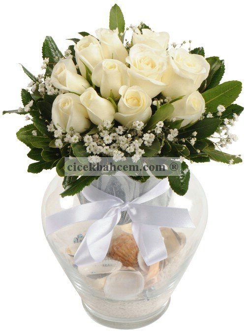 Konik Vazoda 11 Adet Beyaz Güllerden Deniz Kabukları İle Tasarımı