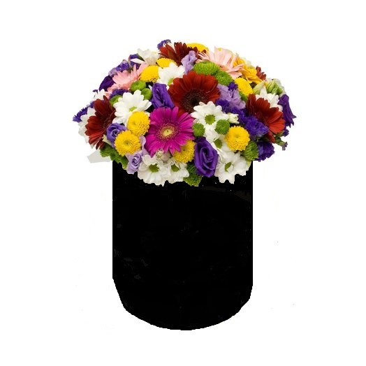 Kutu İçresinde Karışık Mevsim Çiçeği