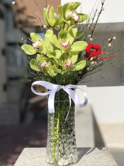 Cam Vazoda Cymbidium Orkide