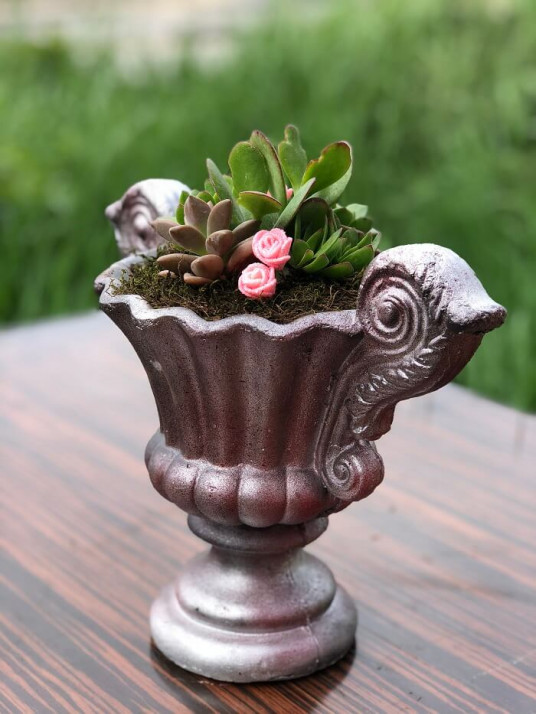 My Dear, Özel Kadeh Teraryum