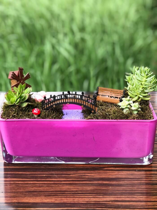 My Lİfe, Pembe Özel Cam Teraryum