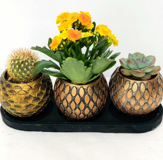 Natural Beauty (Gold Vazo)