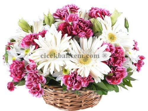 Sepet İçide Kokulu Karanfil ve Beyaz Gerbera