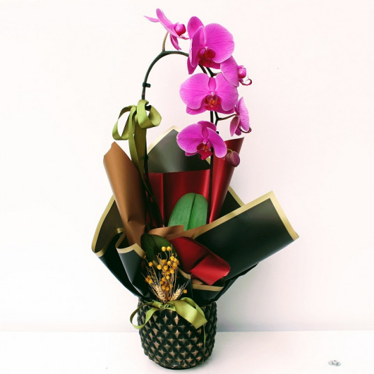Pembe Eğimli Orkide - Dekoratif Black Vazoda
