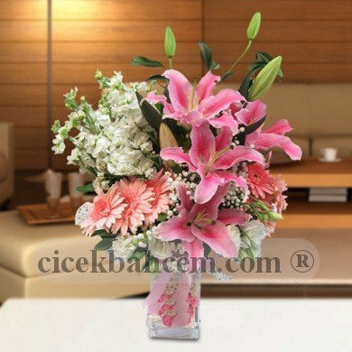 Pembe Gerbera,Lilyum ve Beyaz Şebboy Aranjmanı