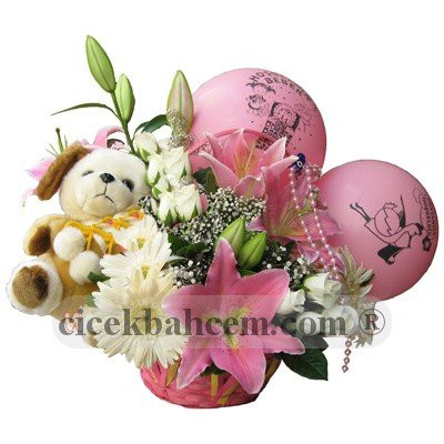 Pembe Gerbera ve Kokulu Lilyum, Hoşgeldin Bebek