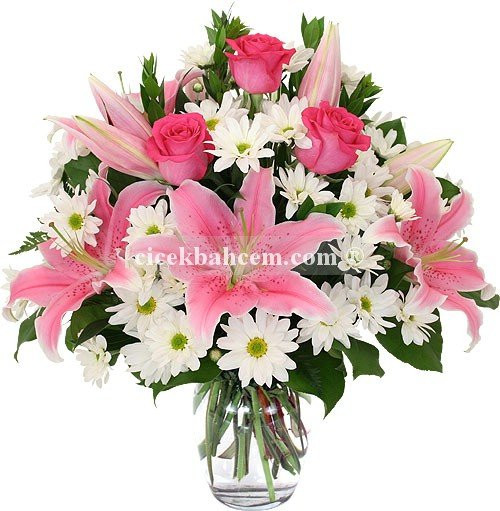 Gönlüm Sende - Pembe Lilyum & Gül