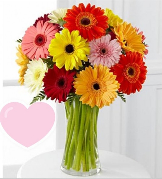 Renklerin Dansı Renkli Gerbera Papatya Aranjmanı