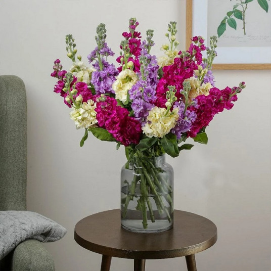 Özel Vazoda Kokulu 9 Adet Renkli Şebboy Çiçeği