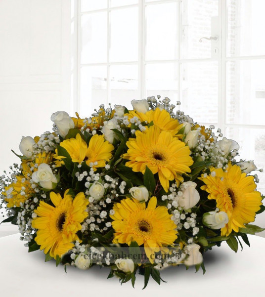 Sarı Gerbera, Beyaz, Gül Aranjmanı