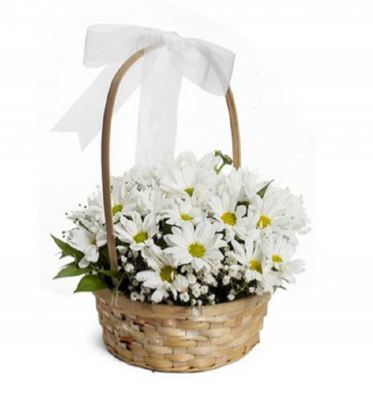 Graceful White Chrysanthemum Arrangement