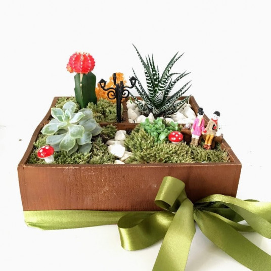 Sevgi Bahçesi Teraryum