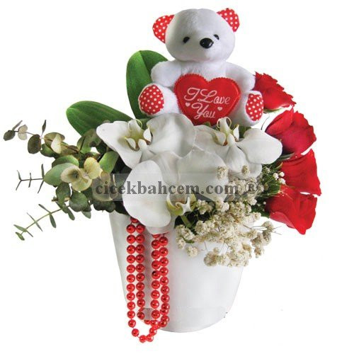 Sevimli Kahramanım '' Vazoda Kırmızı Gül Orkide'