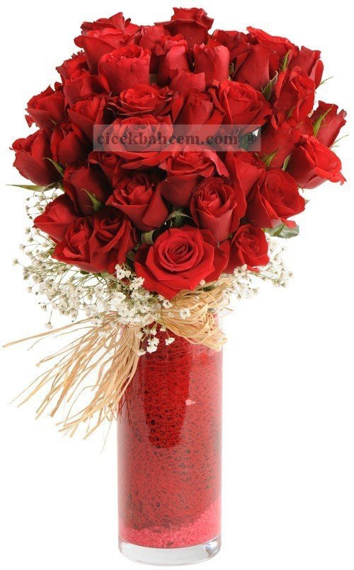 Şahane, 35 Kırmızı Gül