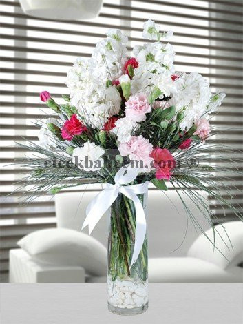 Silindir Cam Vazoda Beyaz Şebboy ve Renkli Karanfil Aranjmanı