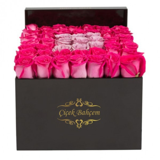 Siyah Kare Kutuda Pembe Lila 49 Gül