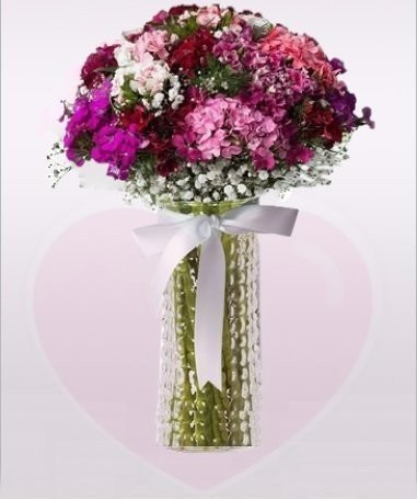 Tatlı Tebessüm, Hüsnü Yusuf Çiçeği 