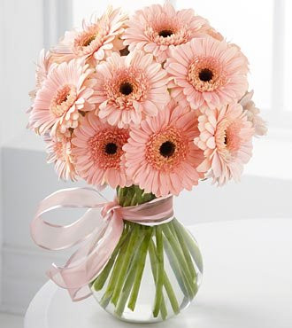 Şık Vazoda Pembe Gerbera