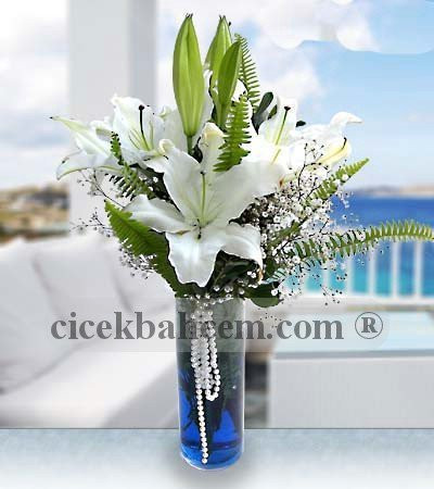 Vazoda Mis Beyaz Kokulu Lilyum 