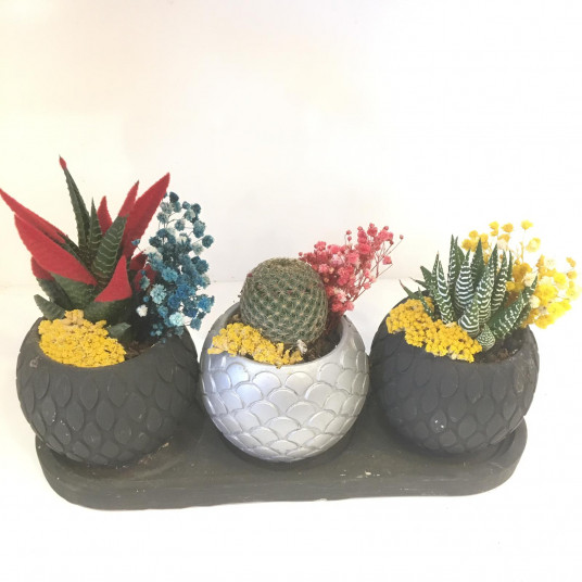 Natural Beauty (Silver Vazo)