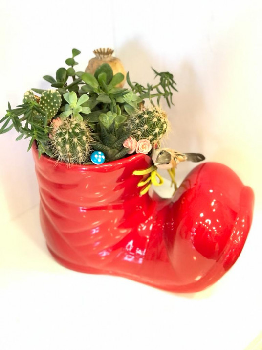 Seramik Kırmızı Pabuç Özel Sukulent Teraryum (Terrarium)