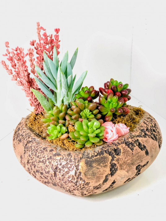 Kalp Succulent Tanzim