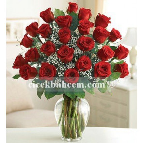 Elegant 27 Kırmızı Gül