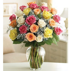 İki Düzine Premium Renkli Güller -24 Adet