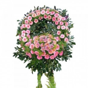 Pembe Gerbera İle Hazırlanmış Cenaze Çelengi