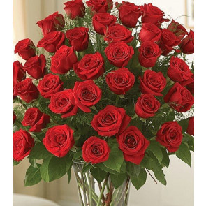 Vazoda 41 Adet Kırmızı Gül