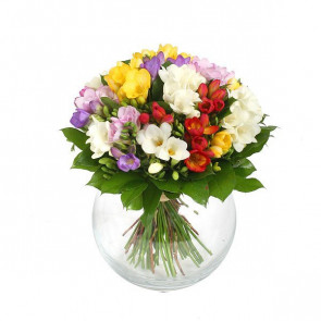 Frezya - Renkli Dünya