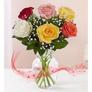 "Aşk Tesadüfleri Sever" 6 Renkli Gül