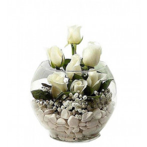 Akvaryum Vazoda 7 Adet Beyaz Gül