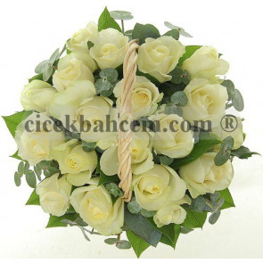 19 Adet Gül''Kar Beyaz Prenses