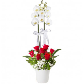 Çift Dal Orkide ve 7 Kırmızı Gül