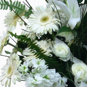 Beyaz Gül, Lilyum, Şebboy Aranjmanı