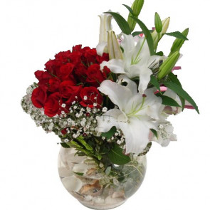 Sevgiliye Özel Kırmızı Gül, Lilyum