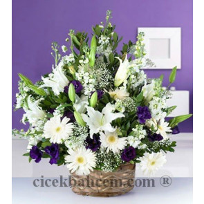 Beyaz Gerbera, Glayor ve Mor Lisyantus Aranjmanı 