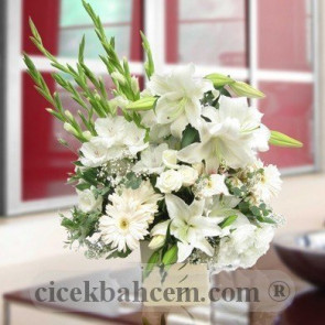 Beyaz Gerbera ve Beyaz Kokulu Lilyum