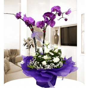 Beyaz Gül ve mor Orkide