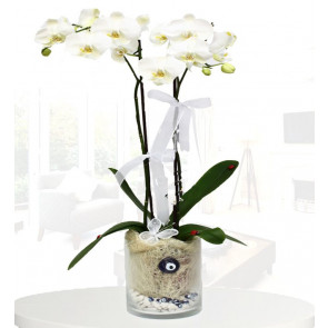 Nazar Değmesin Beyaz Orkide