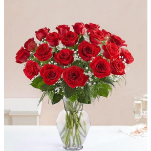 Cam Fanus 'da 25 Adet Kırmızı Güller
