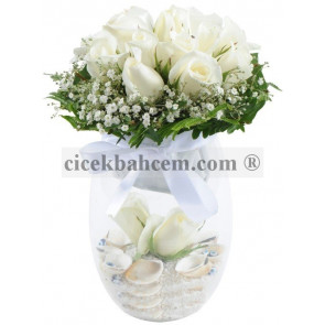 Cam Vazoda 13 Adet Beyaz Gül Deniz Kabukları Tasarımı (