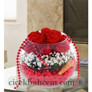 Cam Fanus İçerisine 7 Kırmızı Gül