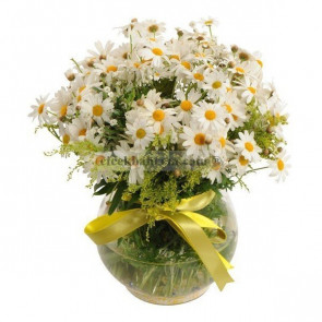 Cam Fanusa Hazırlanmış Papatya 