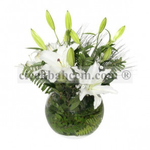 Cam Funus İçerisine Beyaz Kokulu Lilyum Aranjmanı