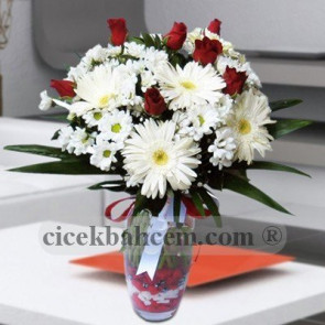 Beyaz Gerbera ve Kırizantem 5 Adet Kırmızı Gül SA496