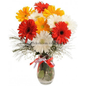 Cam Vazoda Papatya, Renkli Gerbera 