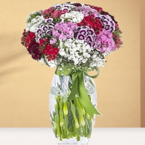 Tatlı Tebessüm, Hüsnü Yusuf Çiçeği 